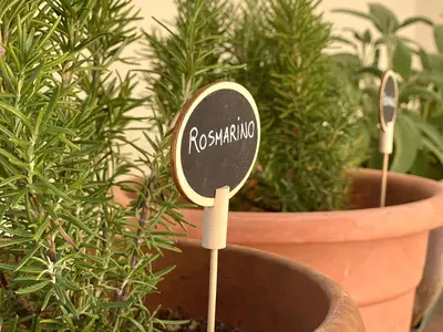 Ferienwohnung für 4 Personen (50 m²) in Sirmione 6/10