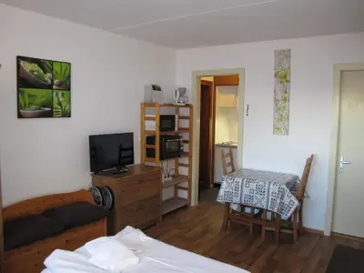 Ferienwohnung für 2 Personen (21 m²) in Siviez 5/10