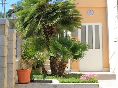 Ferienwohnung für 3 Personen in Slatine 9/10