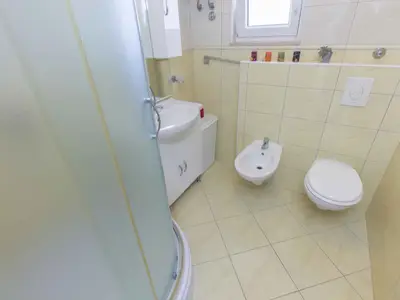 Ferienwohnung für 4 Personen (42 m²) in Slatine 8/10