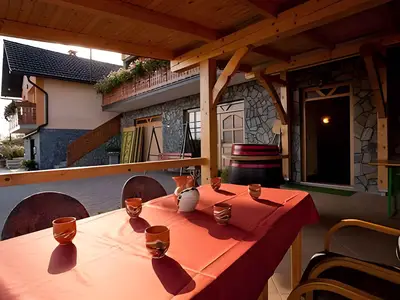 Ferienwohnung für 4 Personen (36 m²) in Smarjeske Toplice 2/10
