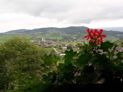 Ferienwohnung für 4 Personen (36 m²) in Smarjeske Toplice 3/10