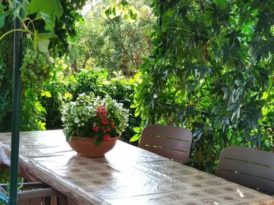 Ferienwohnung für 3 Personen in Smrika 4/10