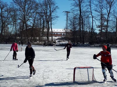 Eishockey