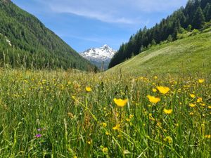 2608194-Ferienwohnung-3-Sölden (Tirol)-300x225-1