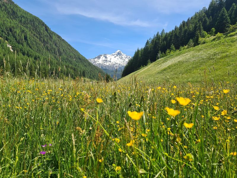 2608195-Ferienwohnung-5-Sölden (Tirol)-800x600-1