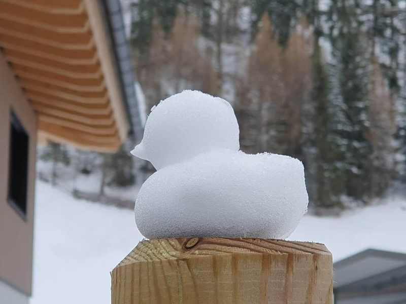 23525056-Ferienwohnung-4-Sölden (Tirol)-800x600-1