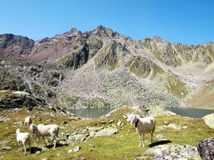 23846568-Ferienwohnung-2-Sölden (Tirol)-300x225-5