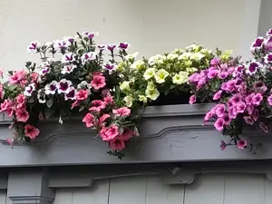 Ferienwohnung für 5 Personen (65 m²) in Sölden