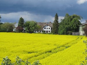 22019081-Ferienwohnung-4-Sörup-300x225-2