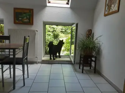 Ferienwohnung für 3 Personen (50 m²) in Sögel 4/9