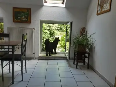 Ferienwohnung für 3 Personen (50 m²) in Sögel 3/9