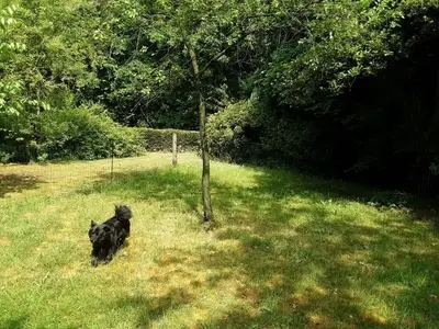 Ferienwohnung für 3 Personen (50 m²) in Sögel 5/9