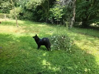 Ferienwohnung für 3 Personen (50 m²) in Sögel 6/9