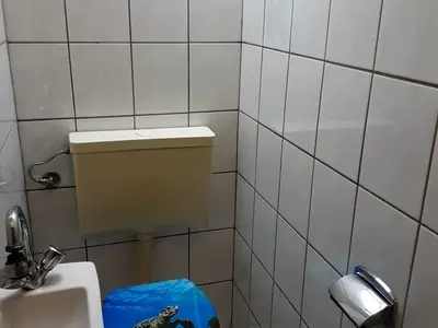 Ferienwohnung für 3 Personen (50 m²) in Sögel 9/9