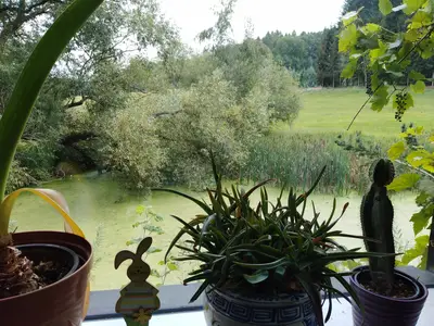 Ferienwohnung für 4 Personen (54 m²) in Sohland An Der Spree 3/10