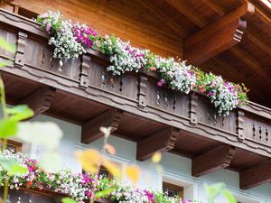 Sommer mit Blumen Sommer mit Blumen