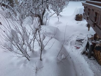 Garten im Winter