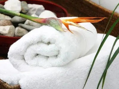 Wellness