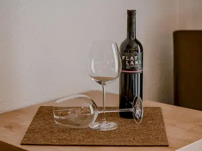 Einblick Appartement A3