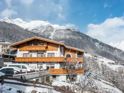 Alpenstern im Winter