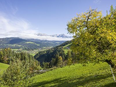 Wohnung 2 Ausblick