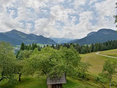 Ausblick
