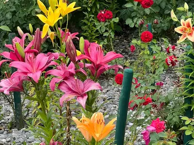 Garten