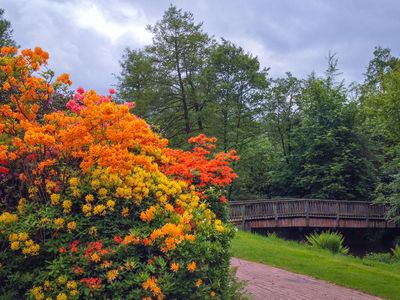 Böhmepark