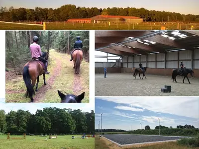 Reitanlage Reitanlage