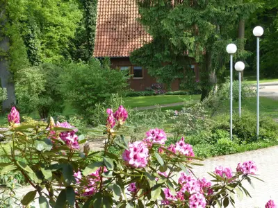 Dornröschen Dornröschen