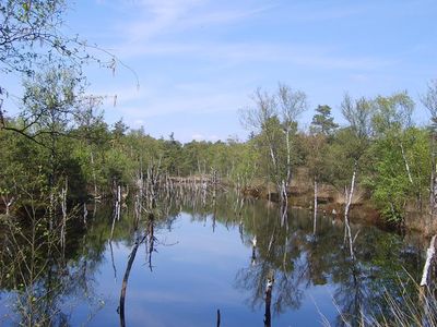 Pietzmoor Schneverdingen