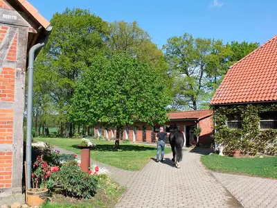 Ferienwohnung für 2 Personen (28 m²) in Soltendieck 10/10