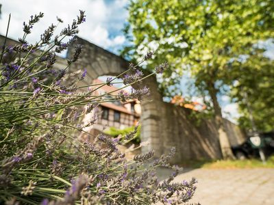 Ferienwohnung für 4 Personen in Sommerhausen 10/10