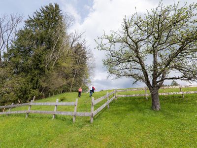 Entspannen in der grünen Oase