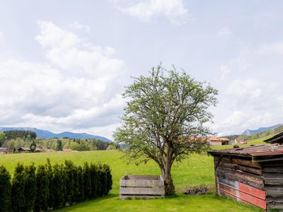 Ruhiges Verweilen im Falltannach