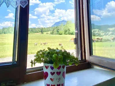 Ausblick