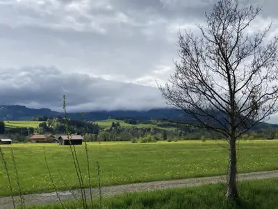 Frühlingsstimmung
