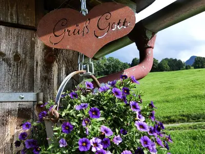 Blumen am Hof
