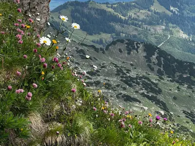Bergimpressionen am Nebelhorn