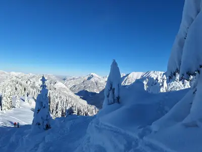 Die Stille des Winters