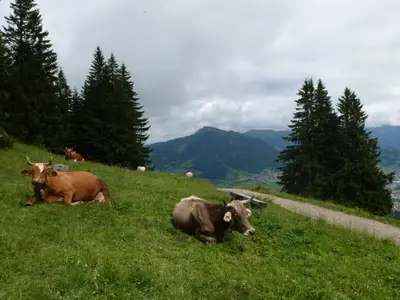 Ferienwohnung für 3 Personen (60 m²) in Sonthofen 10/10