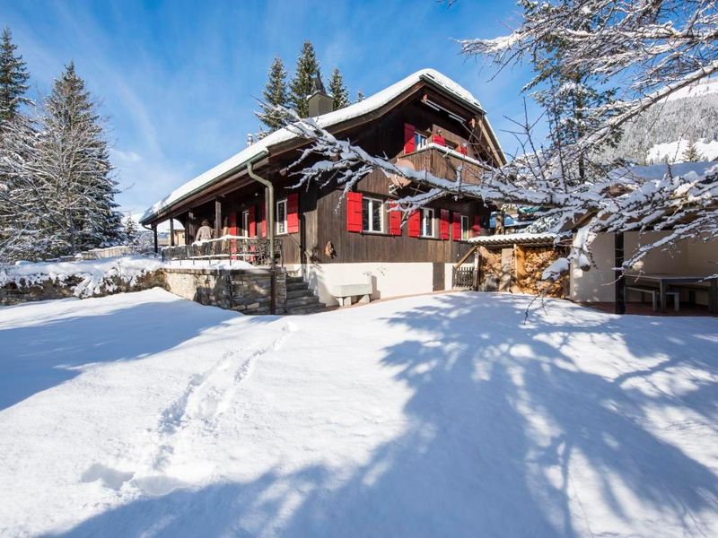 Chalet Waldhüsli mit den wunderschönen Ferienwohnungen Crocus und Anemone, dem Studio Alpenrose und dem Zimmer Edelweiss