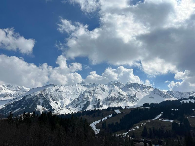 Sicht vom Balkon 