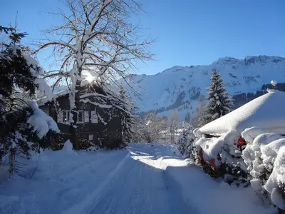 Zufahrt zum Haus im Winter
