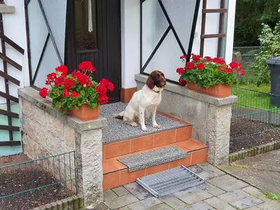 Ferienwohnung für 4 Personen (50 m²) in Sorge 3/10