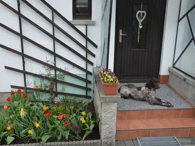 Ferienwohnung für 4 Personen (50 m²) in Sorge 4/10