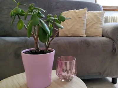 Ferienwohnung für 6 Personen (90 m²) in Sorico 5/10