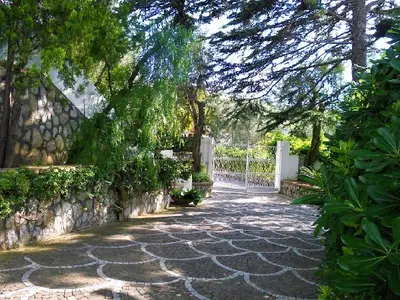 Bild 10