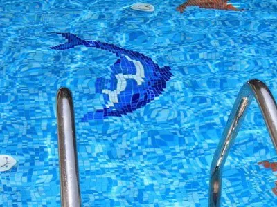 Bild 8